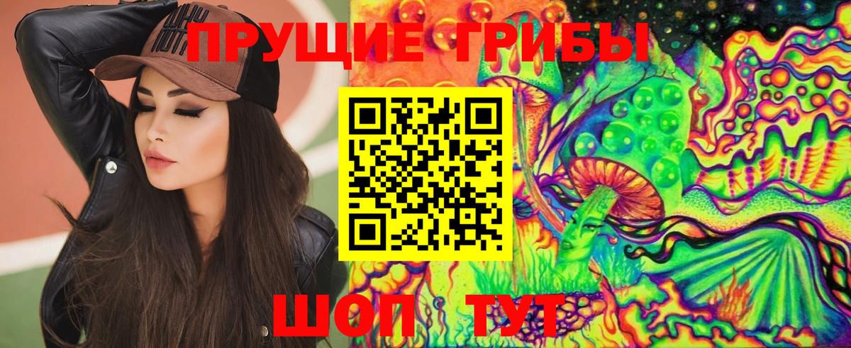 Псилоцибиновые грибы Cubensis Чернушка